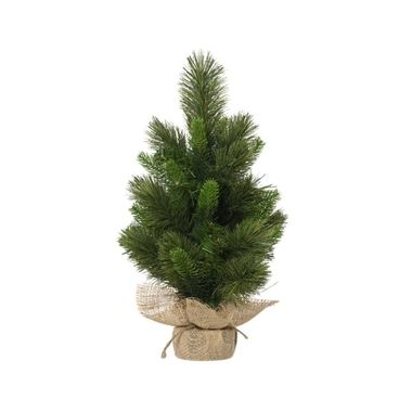 EVERLANDS Edmonton Spruce 681203 indoor