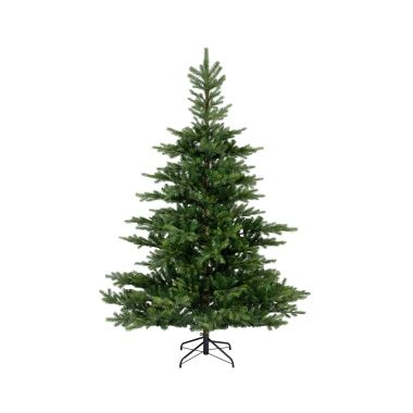 EVERLANDS Weihnachtsbaum Grandis Tanne 681454